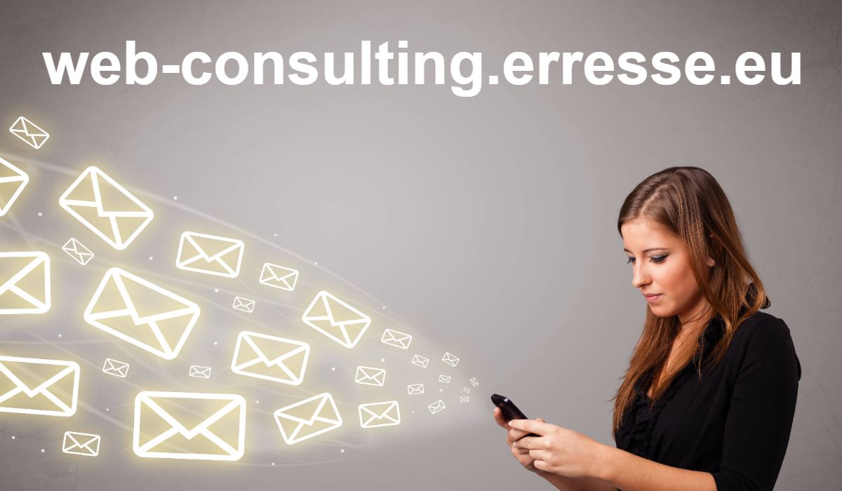 web-consulting.erresse.eu